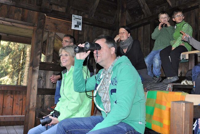 In der Beobachtungskanzel