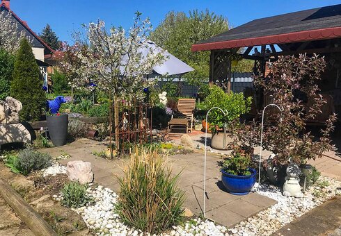 Blick in den Garten