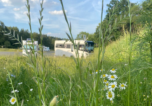 Wohnmobil-Stellplatz Friedrichroda