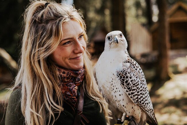Falknerei am Rennsteig