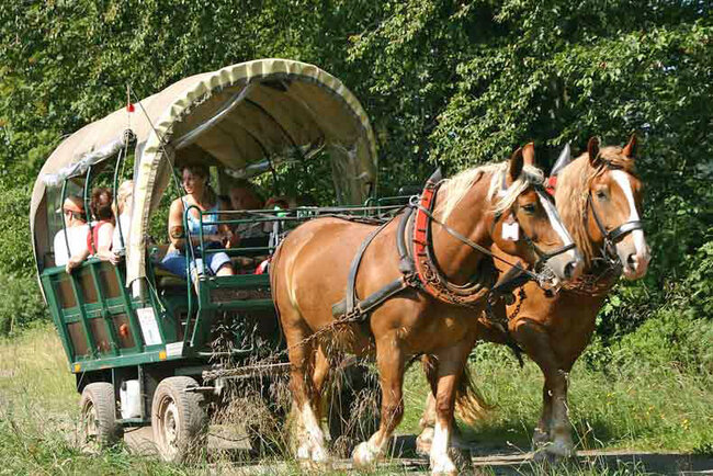 Reit- und Kutschtouristik Ortlepp