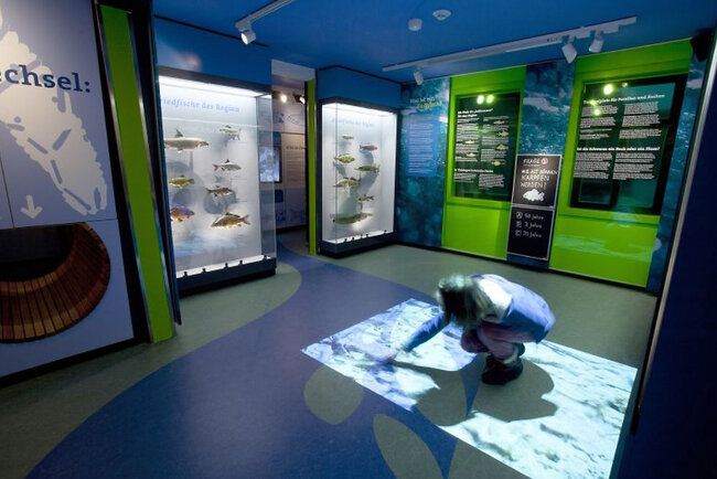 Haus der Natur Goldisthal