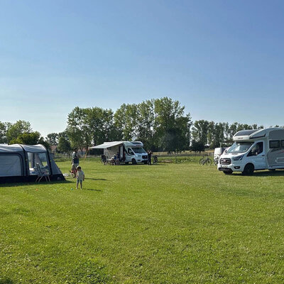 Alpaka Farm Erlebnis plus Komfort Natur Campingplatz, Witzleben