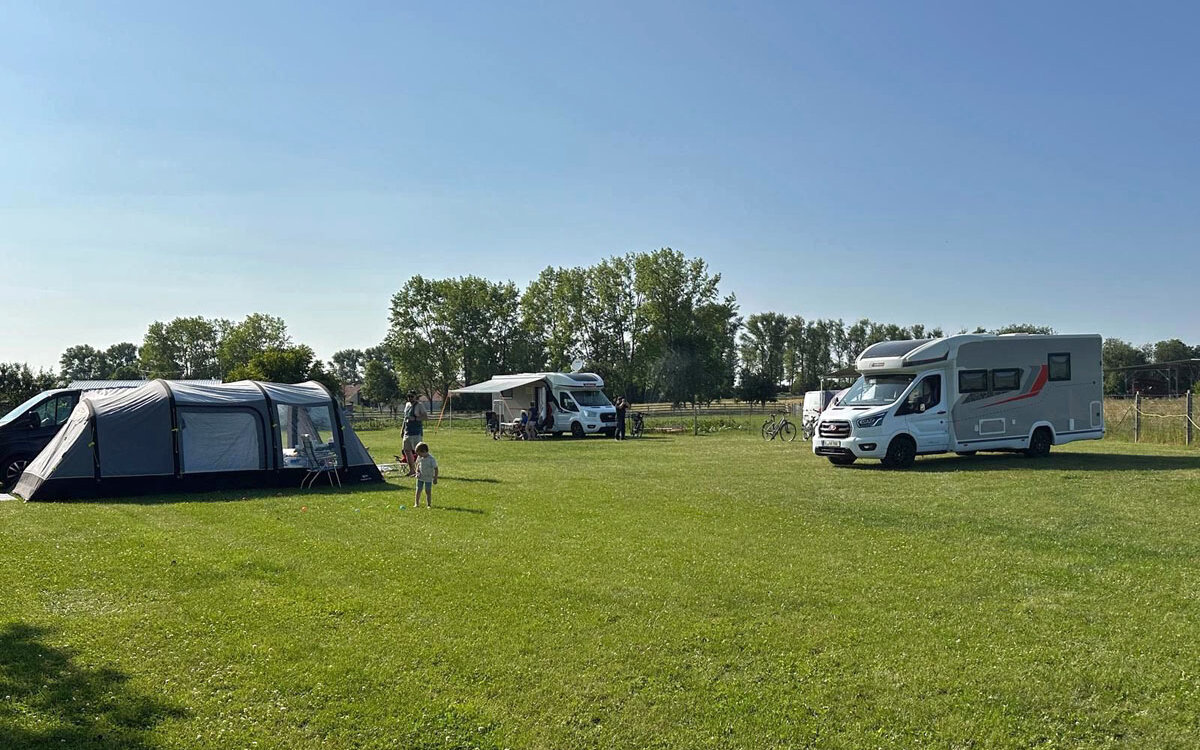 Alpaka Farm Erlebnis plus Komfort Natur Campingplatz, Witzleben