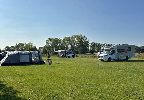 Alpaka Farm Erlebnis plus Komfort Natur Campingplatz, Witzleben