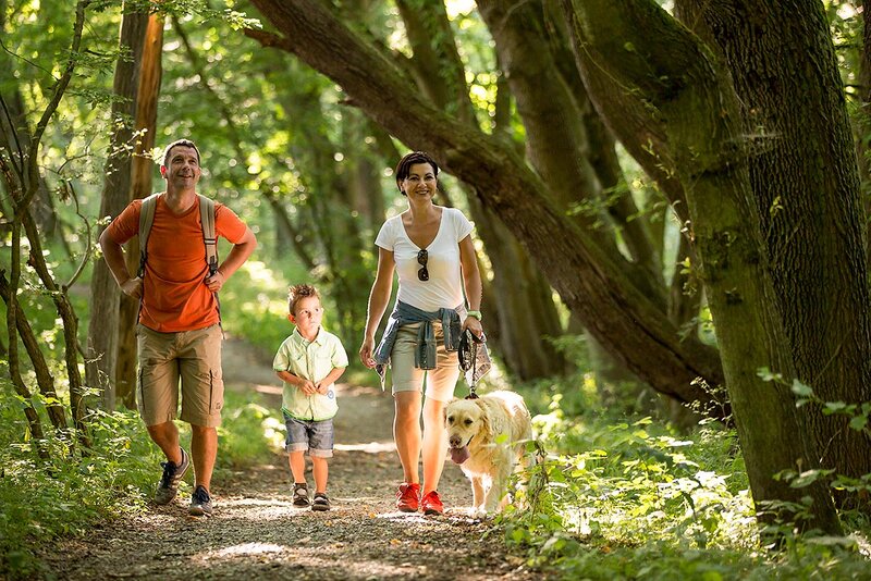 Wandern in traumhafter Natur