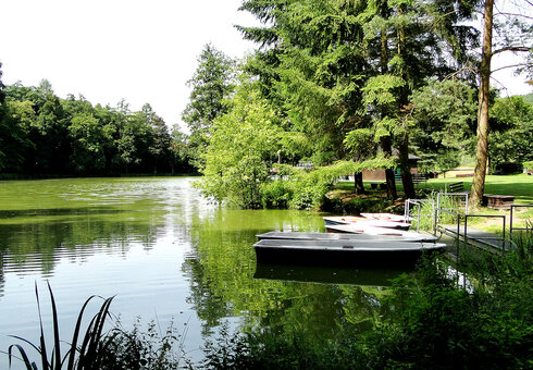 Idylle am Frauensee