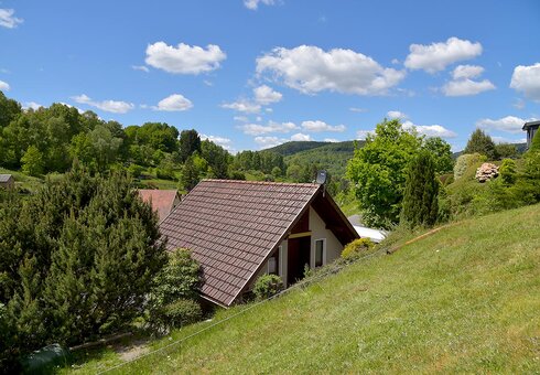 Das Ferienhaus im Frühling