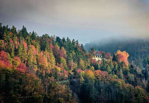 Waldhotel am Stausee
