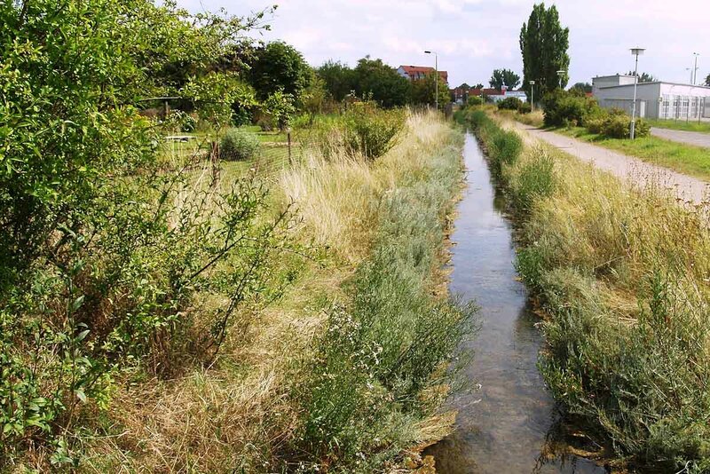 Naturschutzgebiet Artnerner Solgraben