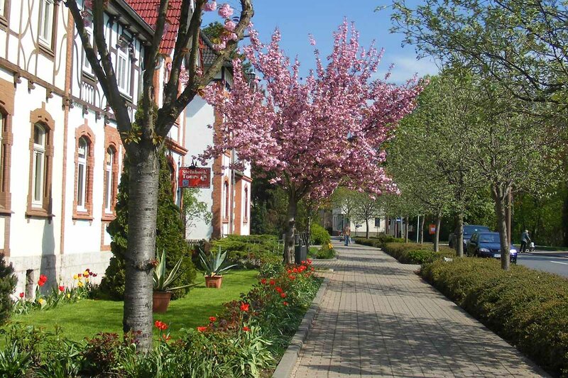 Kurstraße in Bad Tennstedt