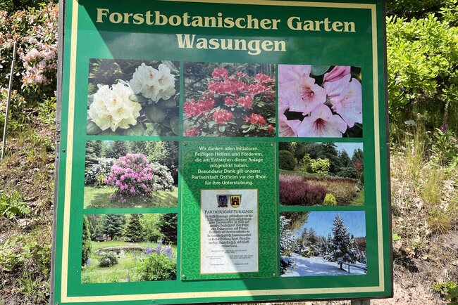 Forstbotanischer Garten