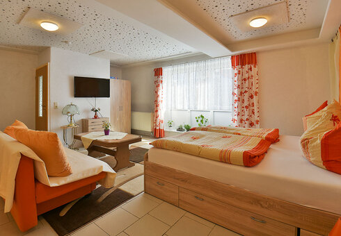 Ferienwohnung 2 (Wohn-Schlafzimmer)