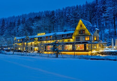 Hotel Waldmühle, Zella-Mehlis
