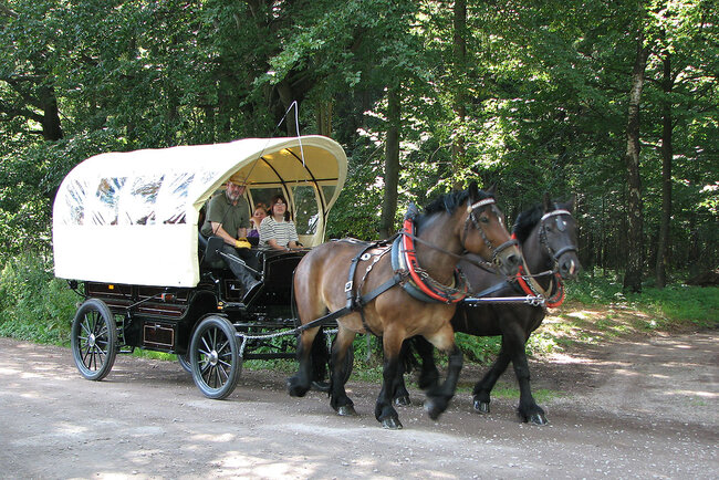 Reiterhof Rosenberger Hof