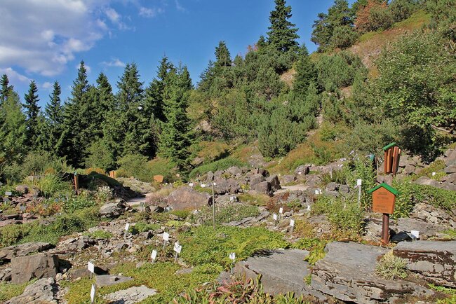 Rennsteiggarten Oberhof
