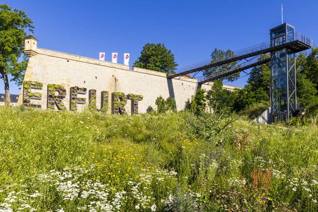 Panoramaweg Zitadelle Petersberg Erfurt