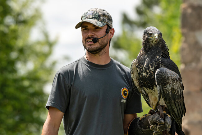Falknerei "Burg Greifenstein"