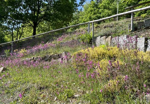 Forstbotanischer Garten