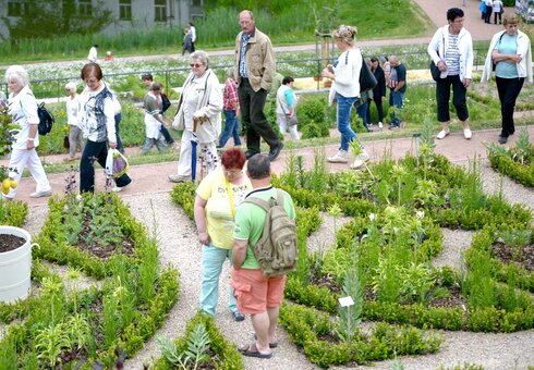 Schloss Wilhelmsburg - Terrassengarten