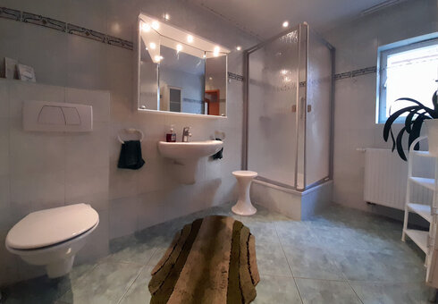 Ferienwohnung- Badezimmer 