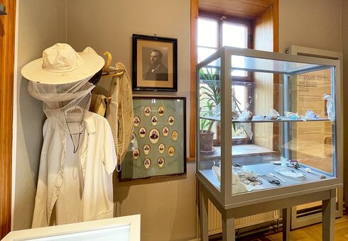 Deutsches Bienenmuseum Weimar