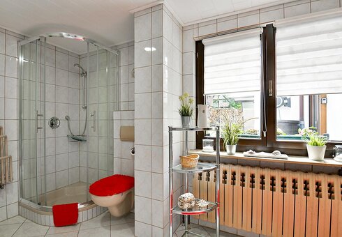 große Ferienwohnung (Bad)