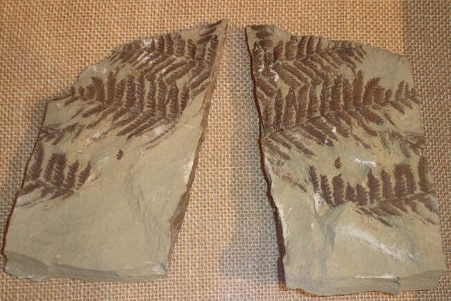 Die Manebacher Heimatstube