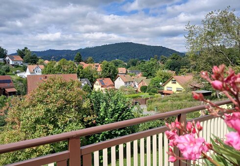 Blick auf den Domberg