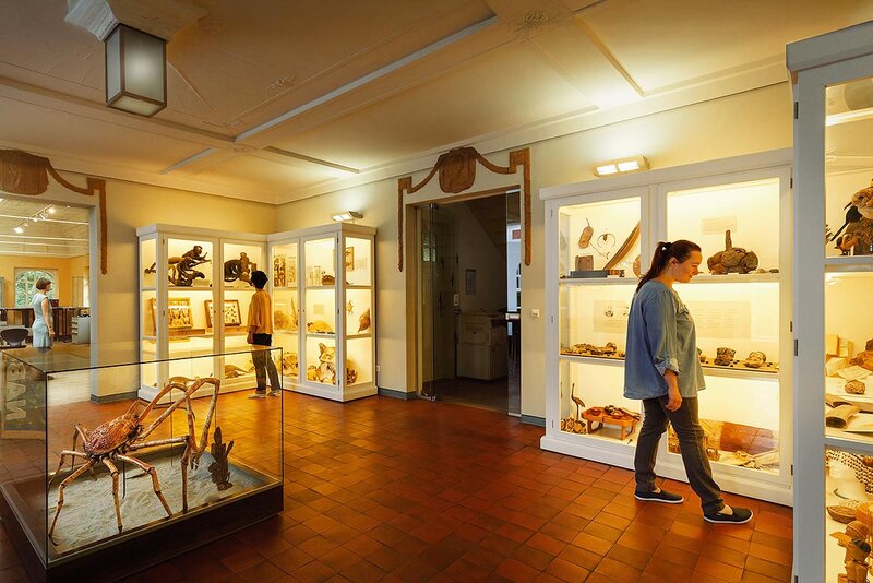 Naturkundliches Museum Mauretanium