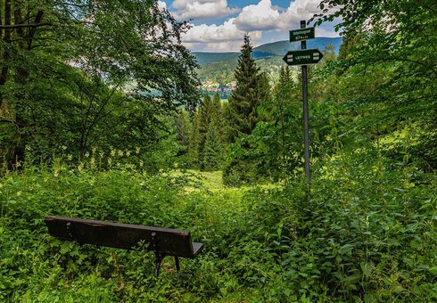 Wandern im Thüringer Wald