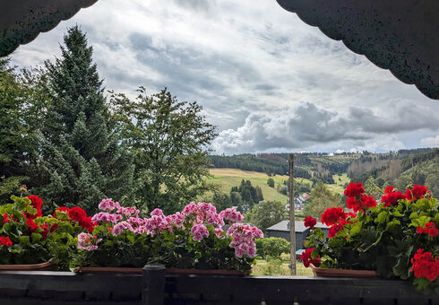 Blick vom Balkon