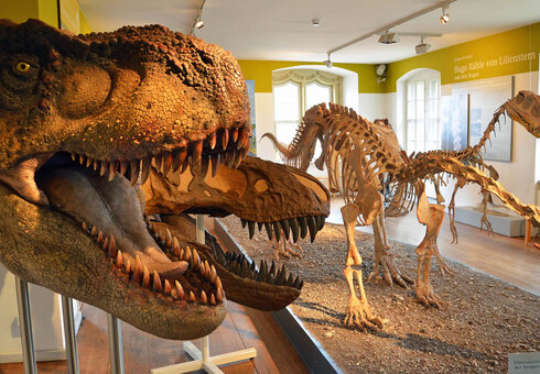 Naturhistorisches Museum