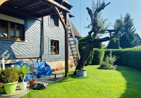 Blick in den Garten