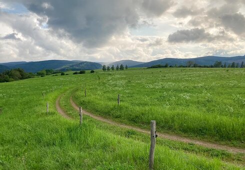 Landschaft bei Gräfenroda