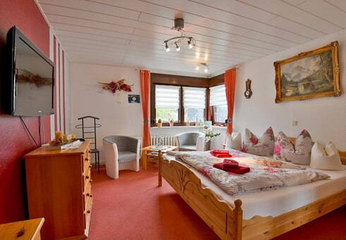 kleine Ferienwohnung (Wohn-Schlafzimmer)
