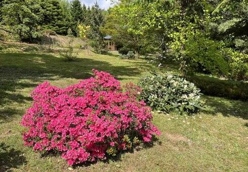 Forstbotanischer Garten