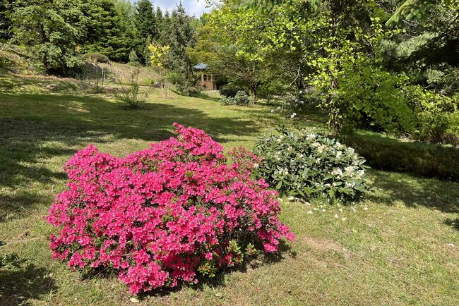 Forstbotanischer Garten