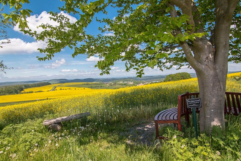 Landschaft bei Gerstungen