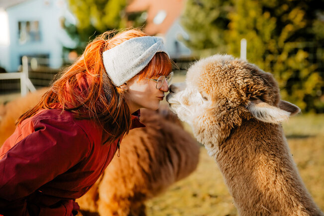 Alpakas vom Roten Berg