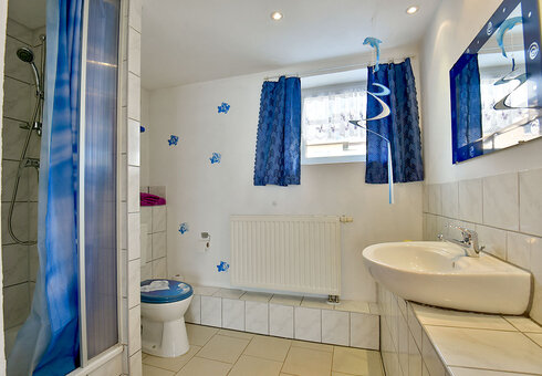 Ferienwohnung 2 (Dusche / WC)