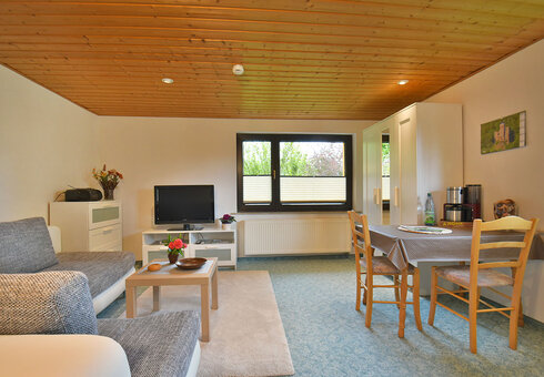 Wohnzimmer mit Couch und TV