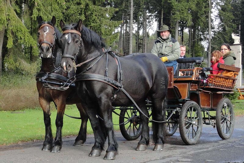 Kremserfahrt bei Frauenwald