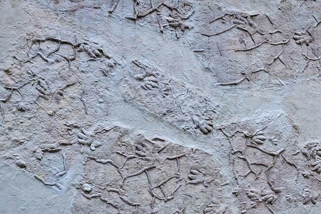 Chirotherium-Monument