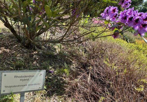 Forstbotanischer Garten