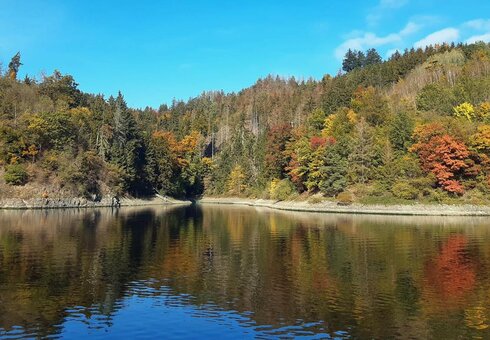 Umgebung des Bleilochstausees