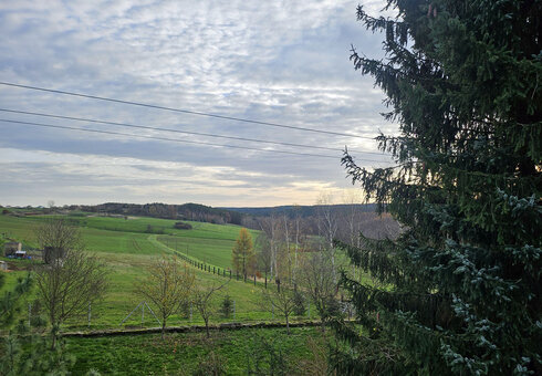 Blick von der Terrasse
