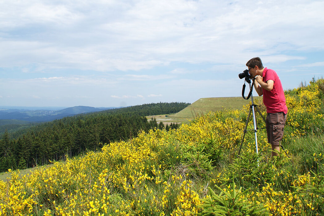 Auf Fototour im Thüringer Wald