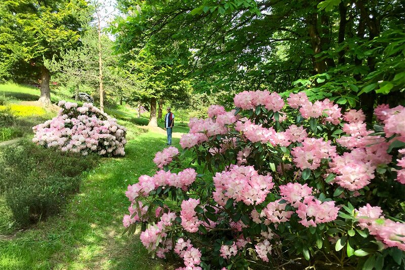 Forstbotanischer Garten Wasungen
