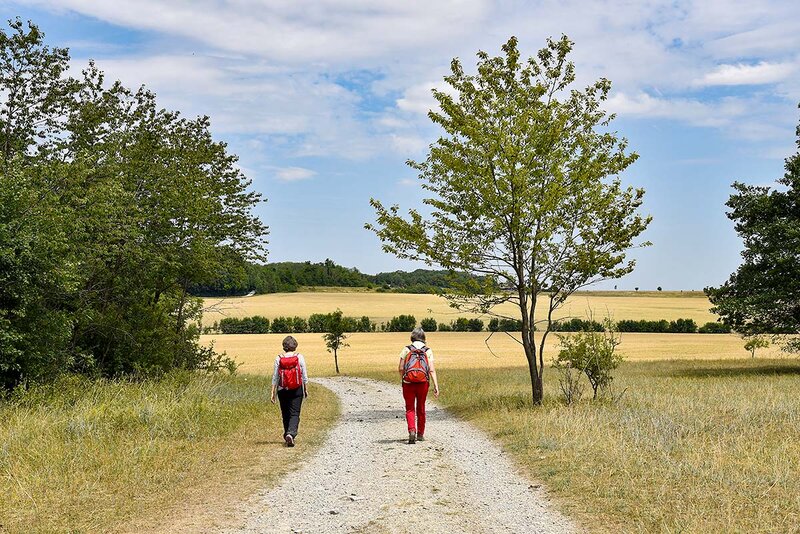 Wandern im Nationalpark Hainich